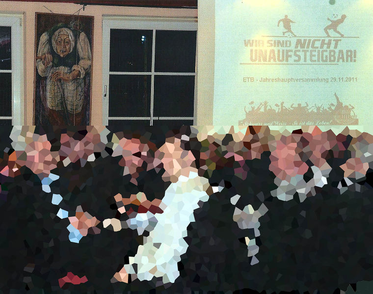 Datei:JHV 2011.jpg