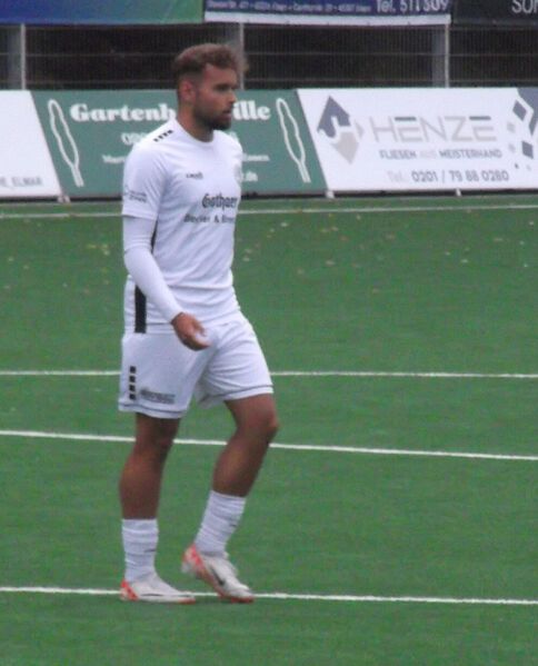 Datei:Niko Bosnjak.jpg